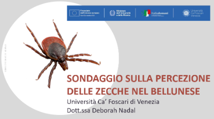 Sondaggio sulla percezione delle Zecche nel bellunese.