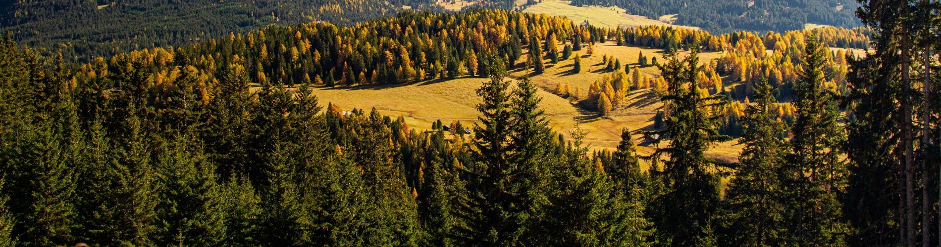 montagne